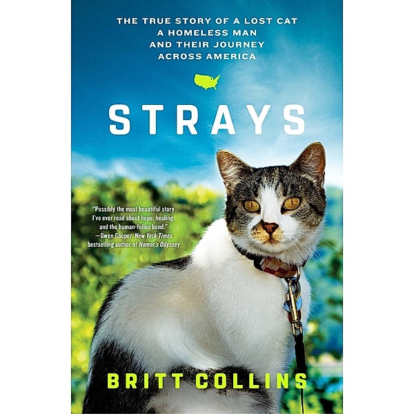 Strays, Britt Collins