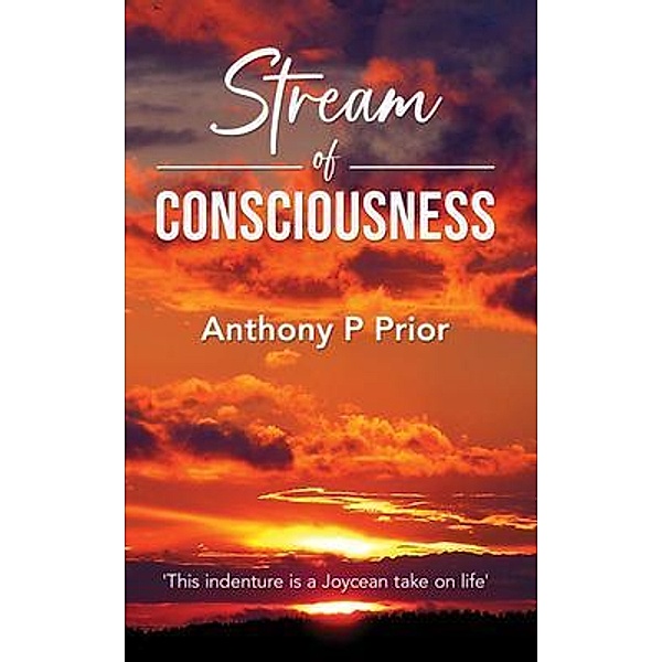 Stream of Consciousness / Anthony Peter Prior, Anthony P Prior