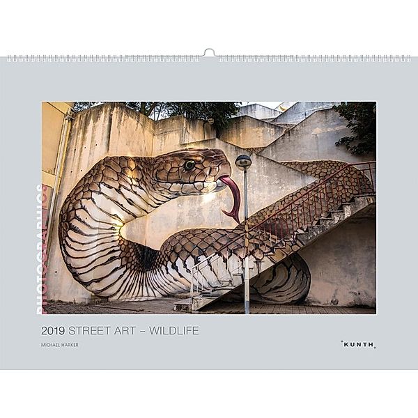 Street Art - Wildlife 2019