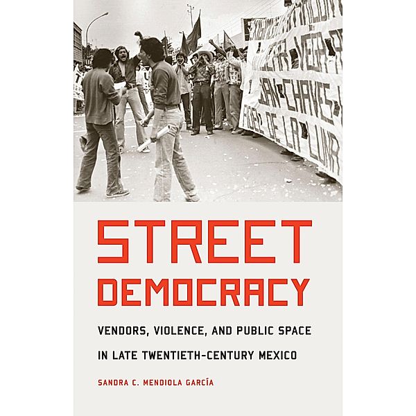 Street Democracy / The Mexican Experience, Sandra C. Mendiola Garcia