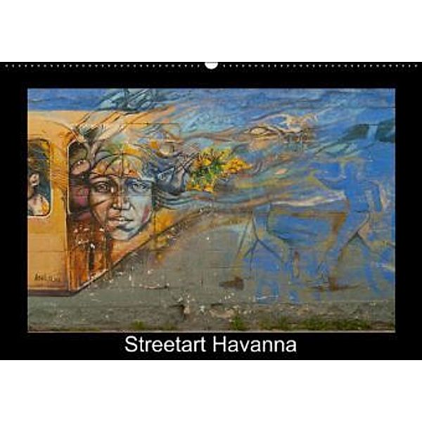Streetart Havanna (Wandkalender 2015 DIN A2 quer), Ms