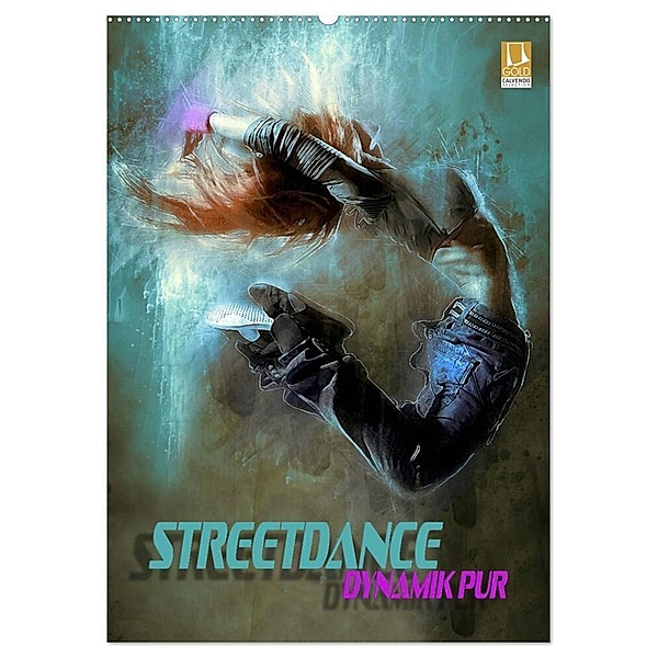 Streetdance - Dynamik pur (Wandkalender 2024 DIN A2 hoch), CALVENDO Monatskalender, Renate Bleicher