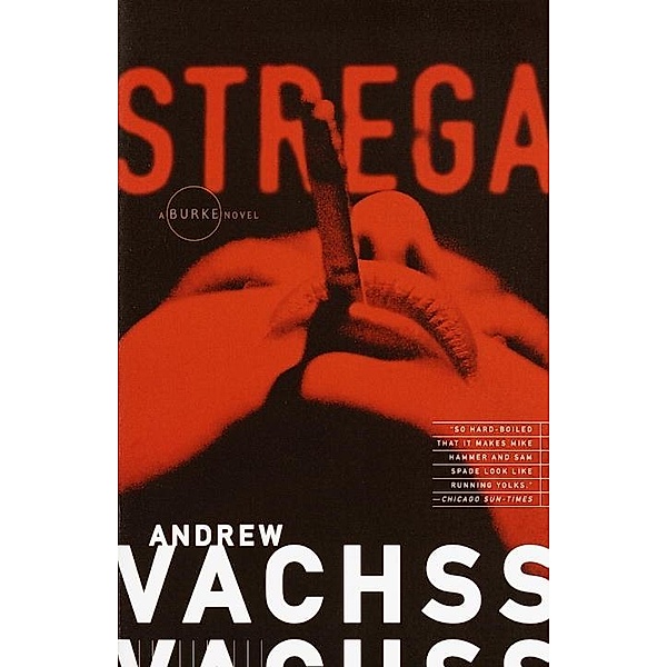Strega / Burke Series Bd.2, Andrew H. Vachss