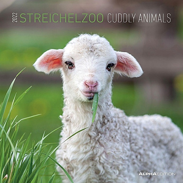 Streichelzoo 2022 - Broschürenkalender 30x30 cm (30x60 geöffnet) - Kalender mit Platz für Notizen - Cuddly Animals - Bil