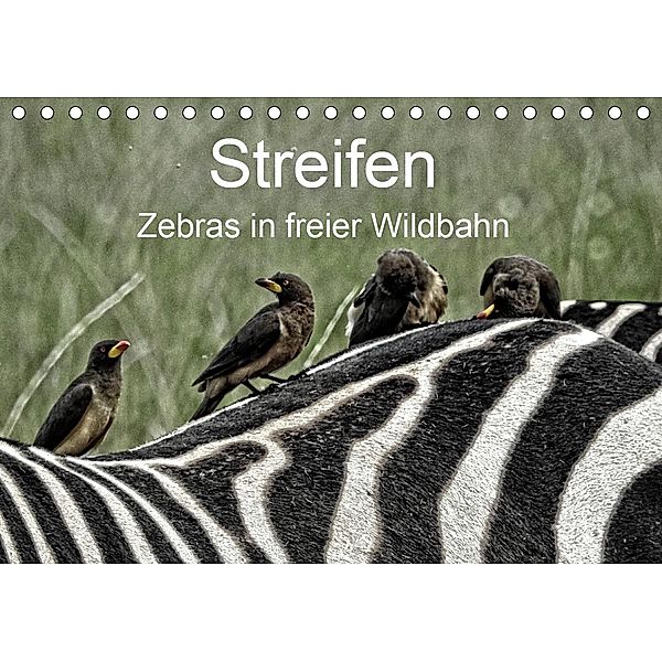 Streifen - Zebras in freier Wildbahn (Tischkalender 2021 DIN A5 quer), Susan Michel