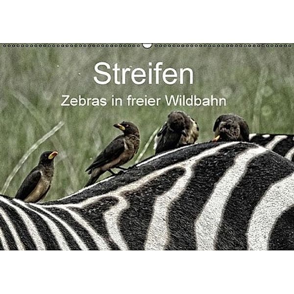 Streifen - Zebras in freier Wildbahn (Wandkalender 2017 DIN A2 quer), Susan Michel