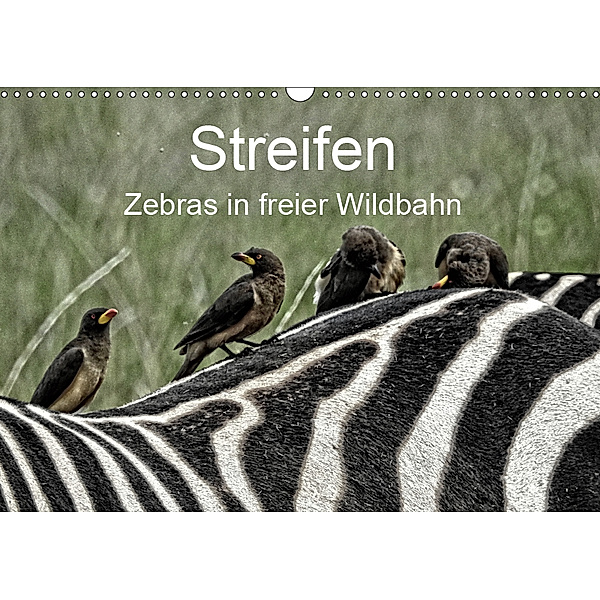 Streifen - Zebras in freier Wildbahn (Wandkalender 2019 DIN A3 quer), Susan Michel