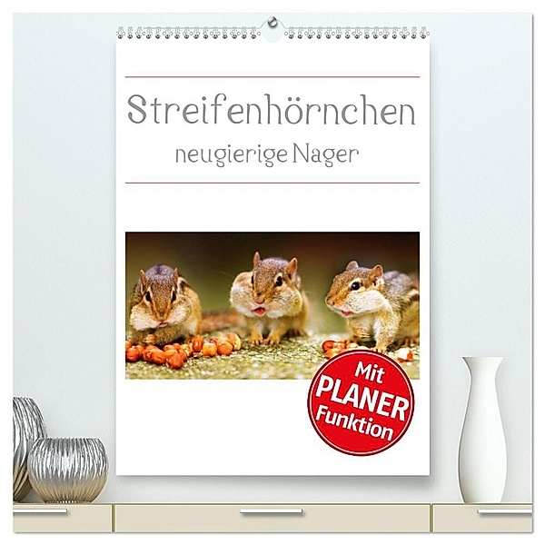 Streifenhörnchen - neugierige Nager (hochwertiger Premium Wandkalender 2024 DIN A2 hoch), Kunstdruck in Hochglanz, Stefan Mosert