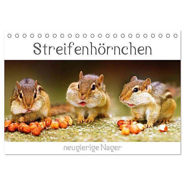 Streifenhörnchen - neugierige Nager (Tischkalender 2024 DIN A5 quer), CALVENDO Monatskalender, Stefan Mosert