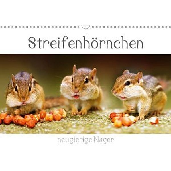 Streifenhörnchen - neugierige Nager (Wandkalender 2020 DIN A3 quer), Stefan Mosert