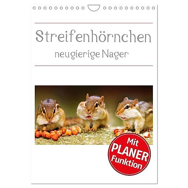 Streifenhörnchen - neugierige Nager (Wandkalender 2024 DIN A4 hoch), CALVENDO Monatskalender, Stefan Mosert