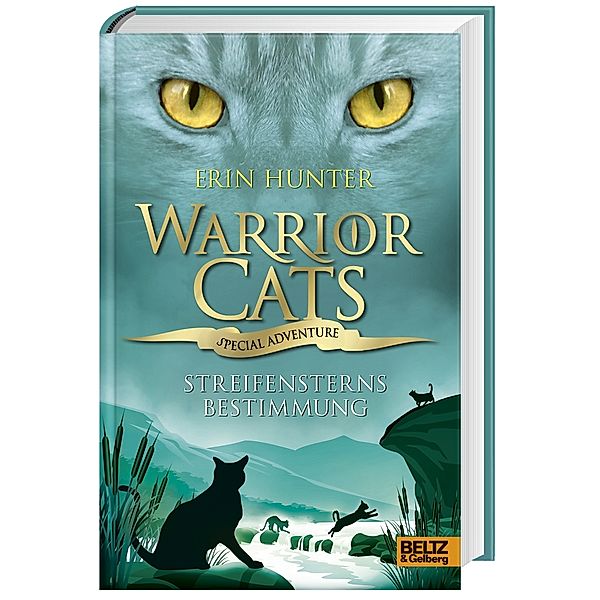 Streifensterns Bestimmung / Warrior Cats - Special Adventure Bd.4, Erin Hunter