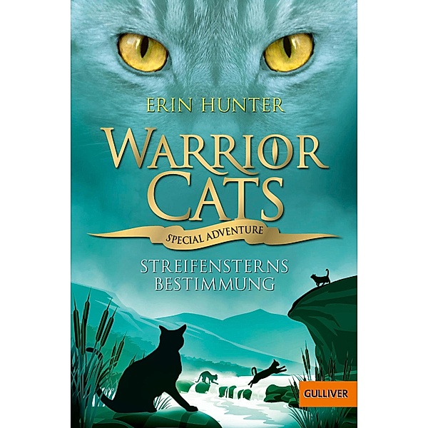 Streifensterns Bestimmung / Warrior Cats - Special Adventure Bd.4, Erin Hunter