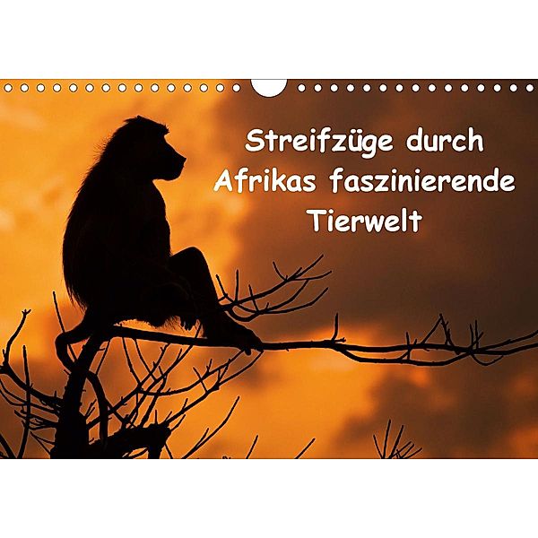 Streifzüge durch Afrikas faszinierende Tierwelt (Wandkalender 2021 DIN A4 quer), Frank Weitzer