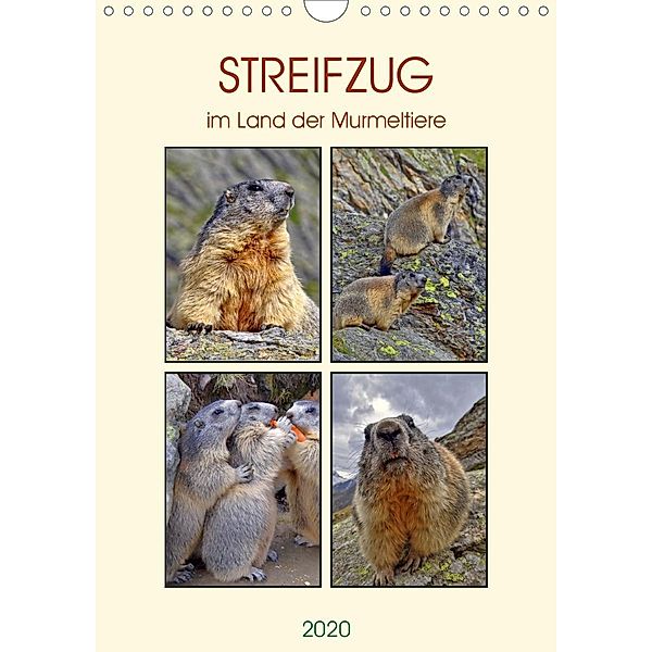 STREIFZUG im Land der Murmeltiere (Wandkalender 2020 DIN A4 hoch), Susan Michel