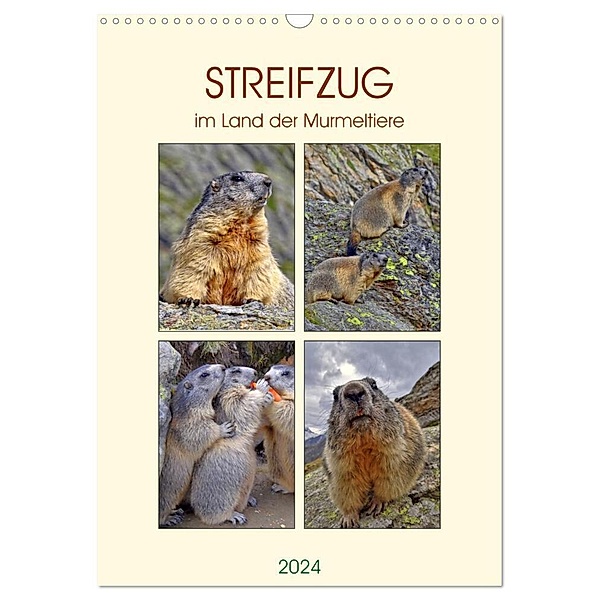 STREIFZUG im Land der Murmeltiere (Wandkalender 2024 DIN A3 hoch), CALVENDO Monatskalender, Susan Michel