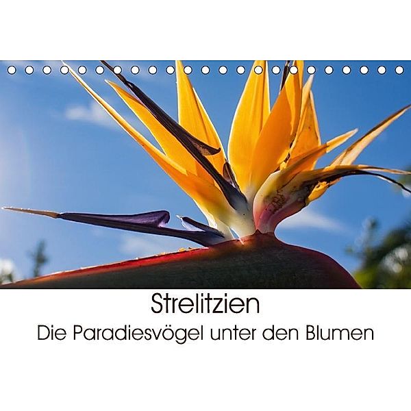 Strelitzien - die Paradiesvögel unter den Blumen (Tischkalender 2017 DIN A5 quer), Silvia Schröder