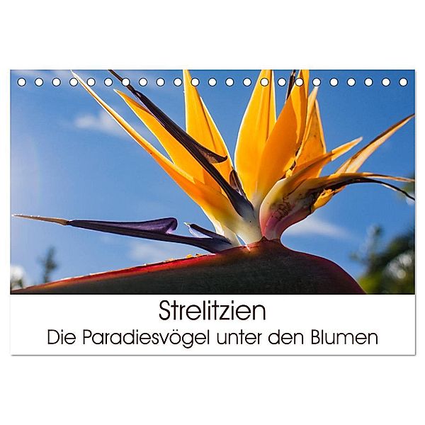 Strelitzien - die Paradiesvögel unter den Blumen (Tischkalender 2024 DIN A5 quer), CALVENDO Monatskalender, Silvia Schröder