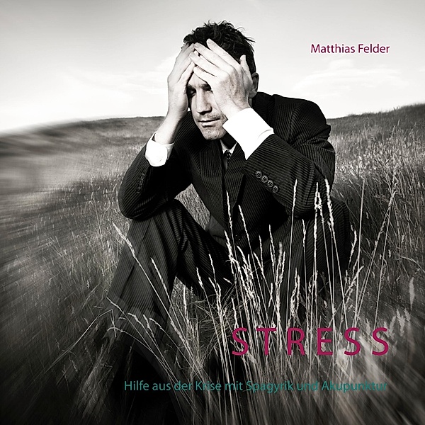 Stress, Matthias Felder