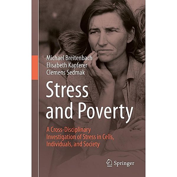 Stress and Poverty, Michael Breitenbach, Elisabeth Kapferer, Clemens Sedmak