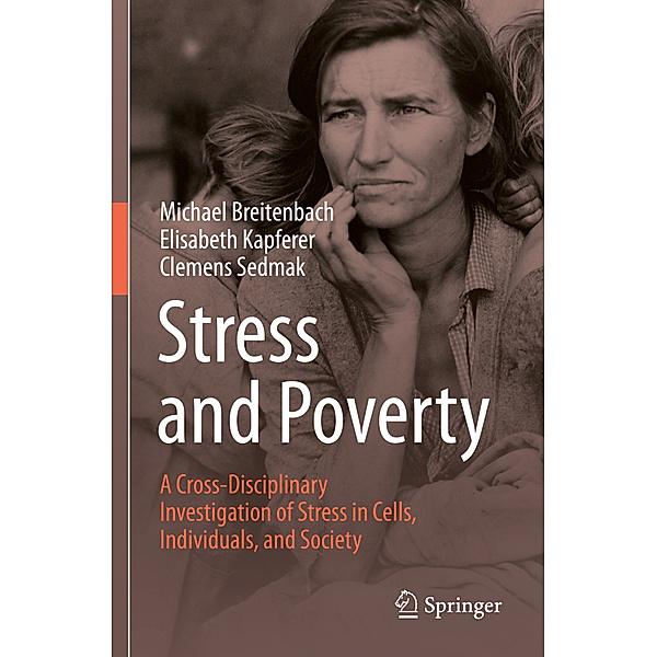 Stress and Poverty, Michael Breitenbach, Elisabeth Kapferer, Clemens Sedmak