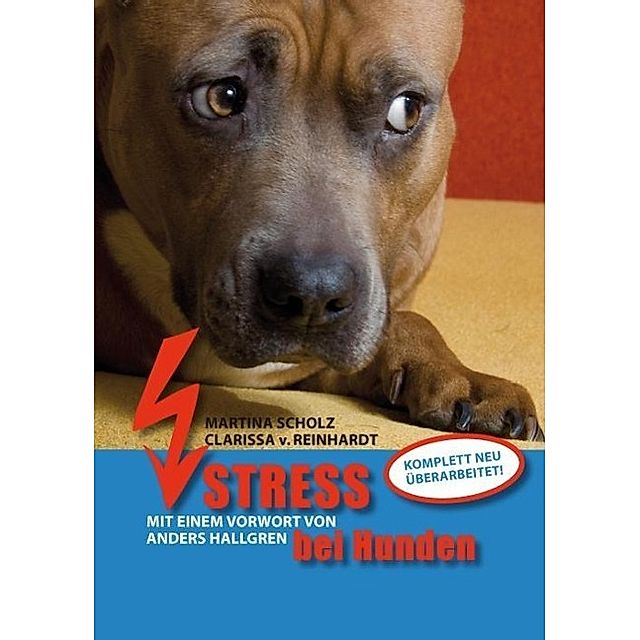 Stress bei Hunden Buch von Martina Scholz versandkostenfrei - Weltbild.de