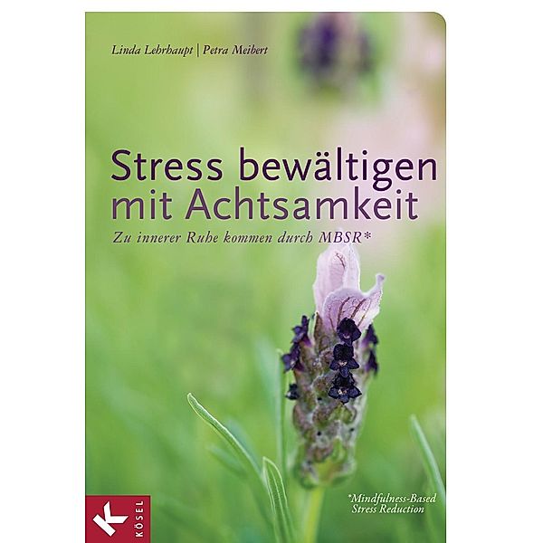 Stress bewältigen mit Achtsamkeit, Linda Lehrhaupt, Petra Meibert