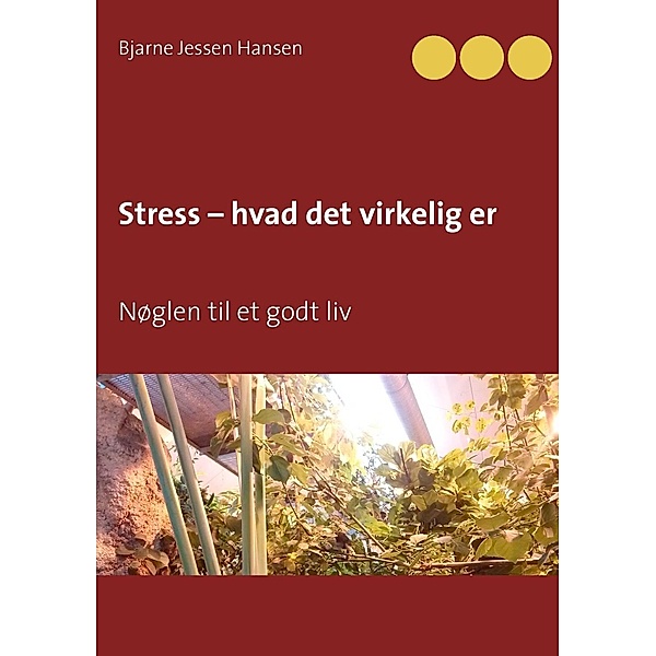 Stress - hvad det virkelig er, Bjarne Jessen Hansen