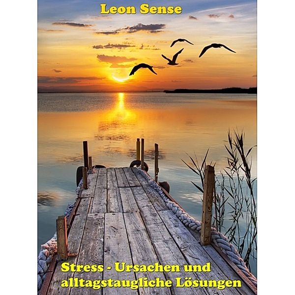 Stress - Ursachen und alltagstaugliche Lösungen, Leon Sense