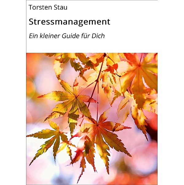 Stressmanagement, Torsten Stau