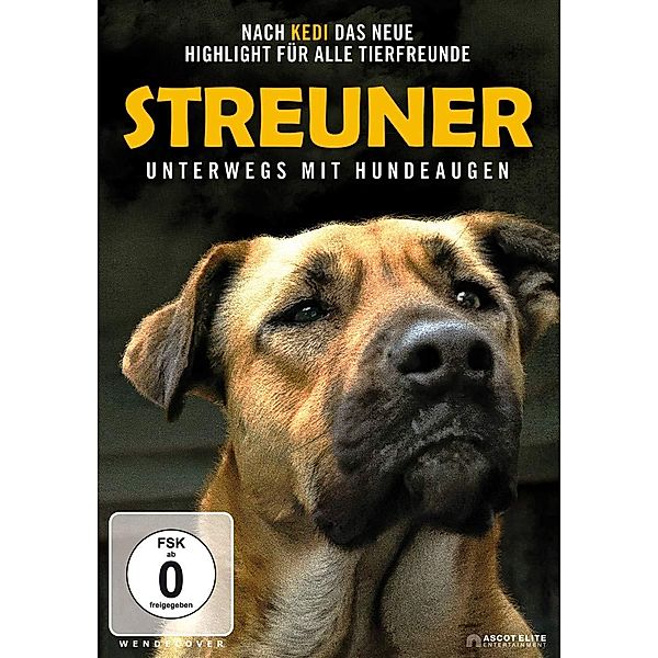 Streuner - Unterwegs mit Hundeaugen, Elizabeth Lo