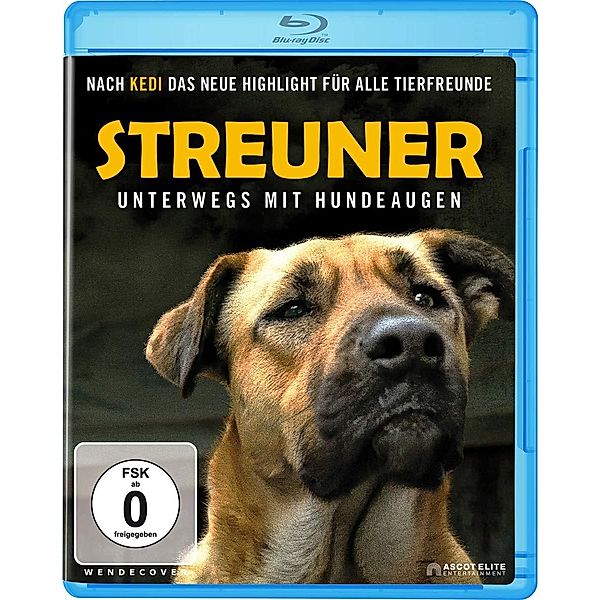 Streuner - Unterwegs mit Hundeaugen, Elizabeth Lo