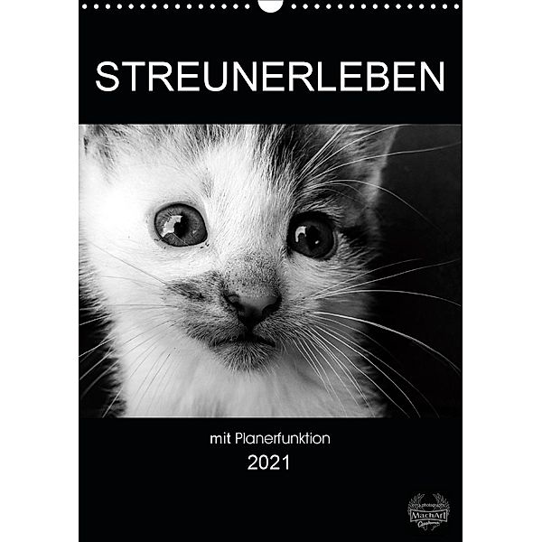 Streunerleben mit Planerfunktion (Wandkalender 2021 DIN A3 hoch), Melanie Ira Schulz