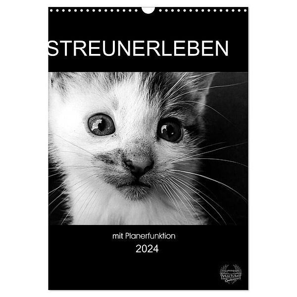 Streunerleben mit Planerfunktion (Wandkalender 2024 DIN A3 hoch), CALVENDO Monatskalender, Melanie Ira Schulz