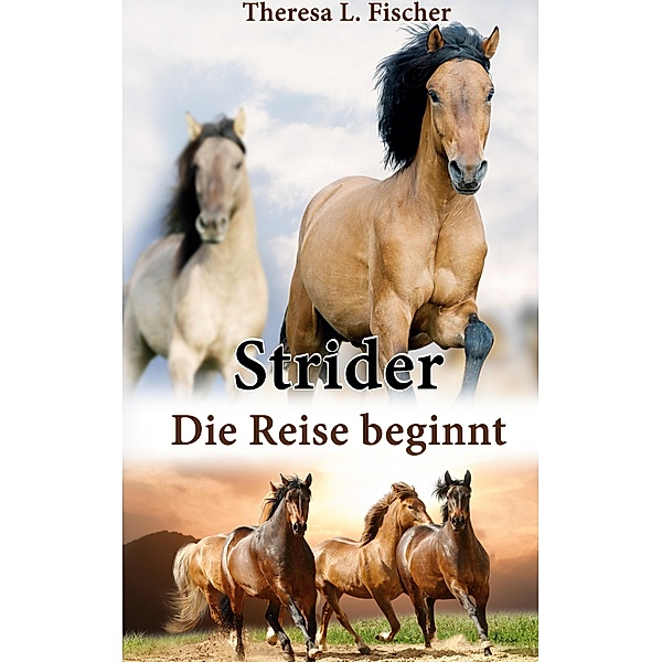 Strider / Strider Bd.1, Theresa L. Fischer