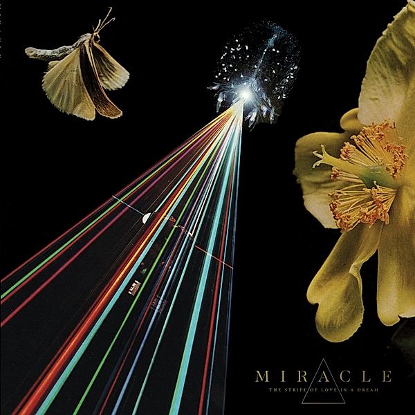 Strife Of Love In A Dream (Vinyl), Miracle