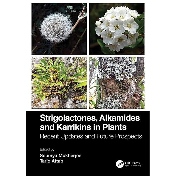 Strigolactones, Alkamides and Karrikins in Plants