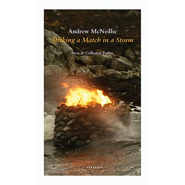 Striking a Match in a Storm, Andrew Mcneillie
