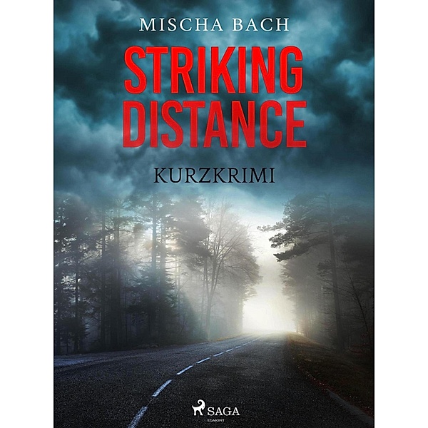 Striking Distance - Kurzkrimi, Mischa Bach