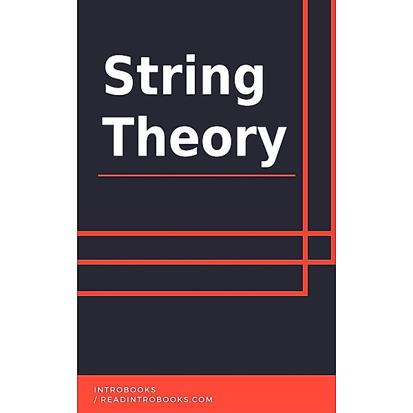 String Theory, IntroBooks Team