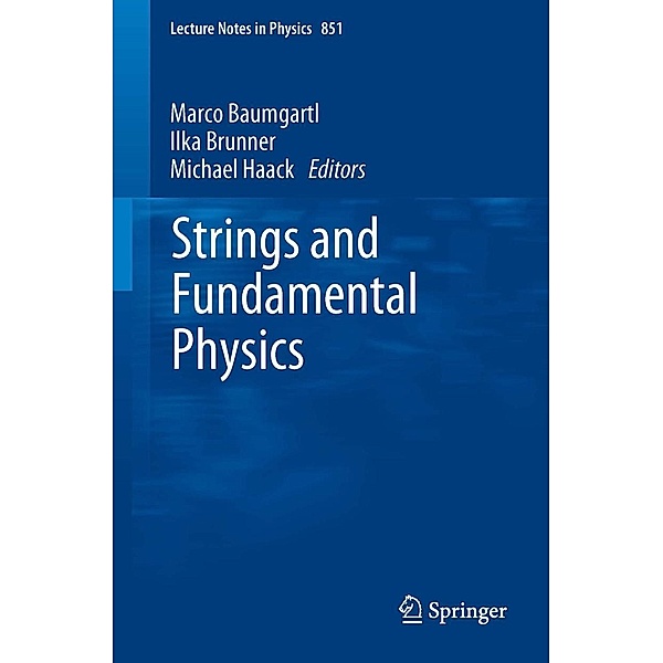 Strings and Fundamental Physics / Lecture Notes in Physics Bd.851