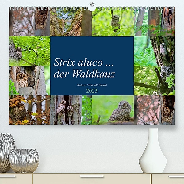 Strix aluco ... der Waldkauz (Premium, hochwertiger DIN A2 Wandkalender 2023, Kunstdruck in Hochglanz), Andreas Freund