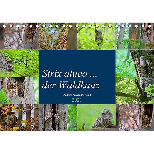 Strix aluco ... der Waldkauz (Tischkalender 2021 DIN A5 quer), Andreas Freund