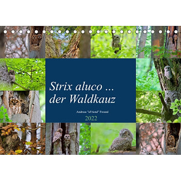 Strix aluco ... der Waldkauz (Tischkalender 2022 DIN A5 quer), Andreas Freund