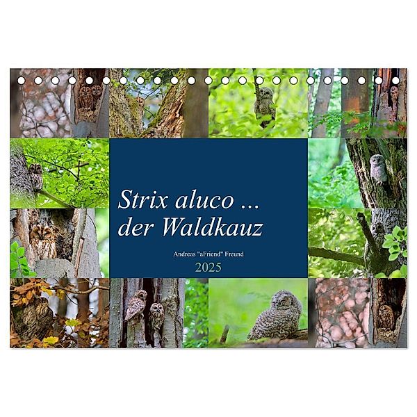 Strix aluco ... der Waldkauz (Tischkalender 2025 DIN A5 quer), CALVENDO Monatskalender, Calvendo, Andreas Freund