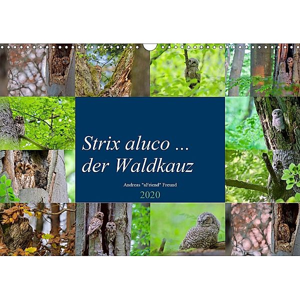 Strix aluco ... der Waldkauz (Wandkalender 2020 DIN A3 quer), Andreas Freund