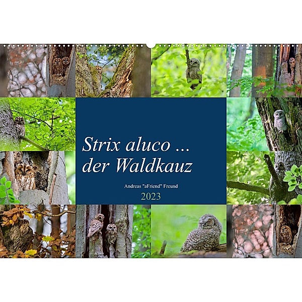 Strix aluco ... der Waldkauz (Wandkalender 2023 DIN A2 quer), Andreas Freund