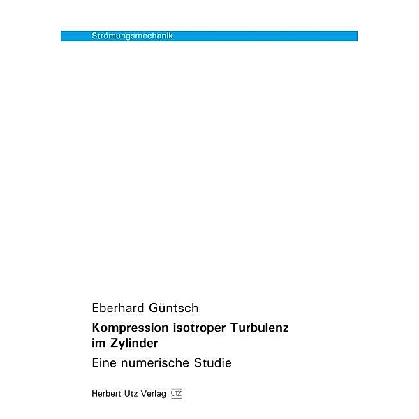 Strömungsmechanik / Kompression isotroper Turbulenz im Zylinder, Eberhard Güntsch