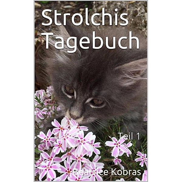 Strolchis Tagebuch - Teil 1 / Strolchis Tagebuch Bd.1, Beatrice Kobras