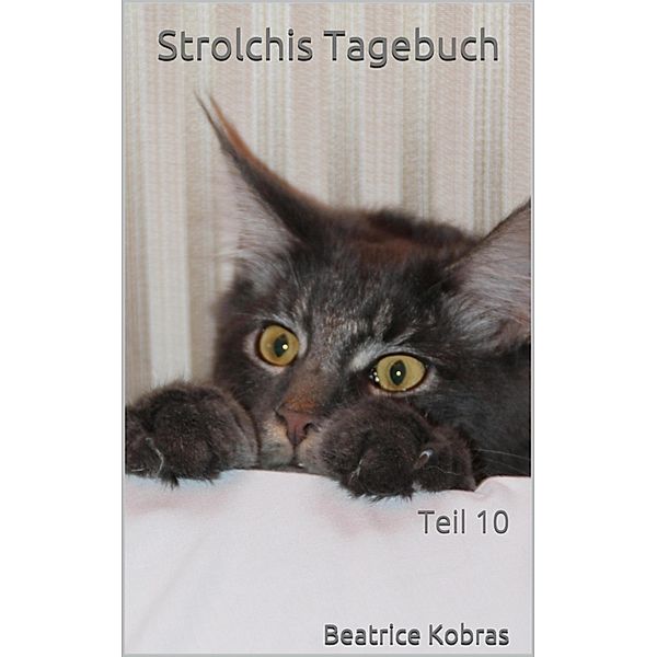 Strolchis Tagebuch - Teil 10 / Strolchis Tagebuch Bd.10, Beatrice Kobras